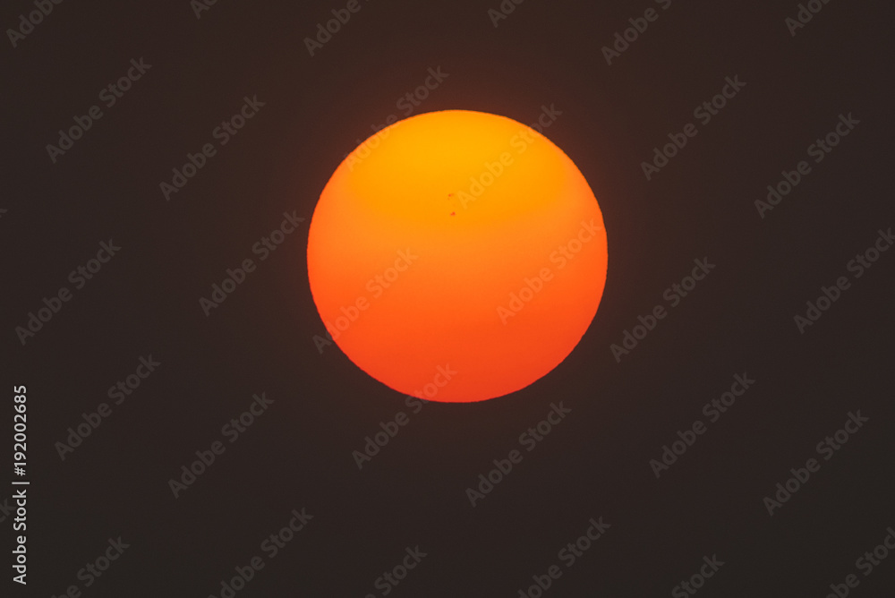 Sunsport Closeup image