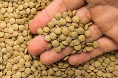 Lentil legume. Person with grains in hand. Macro. Whole food.