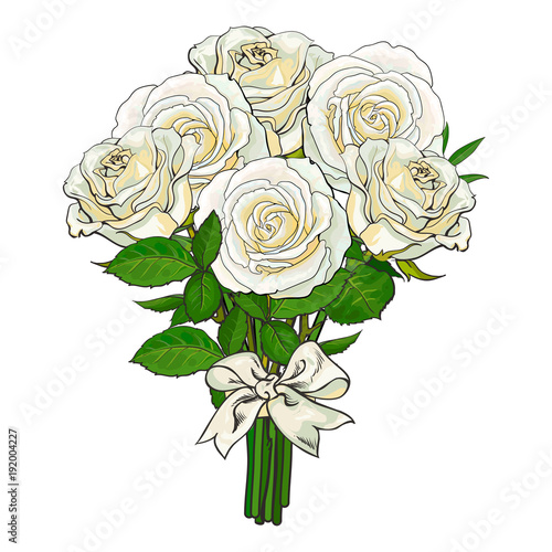 Big bunch, bouquet of white roses tied up with silk ribbon, sketch style, hand drawn vector illustration isolated on white background. Hand-drawn bunch of white roses tied up with ribbon