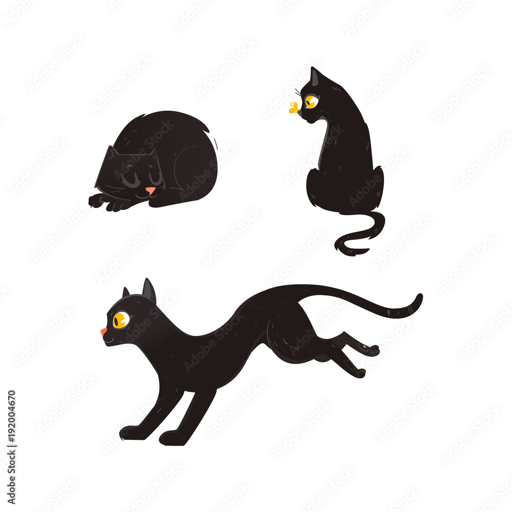 Funny angry cat cute domestic pet animal cartoon Vector Image