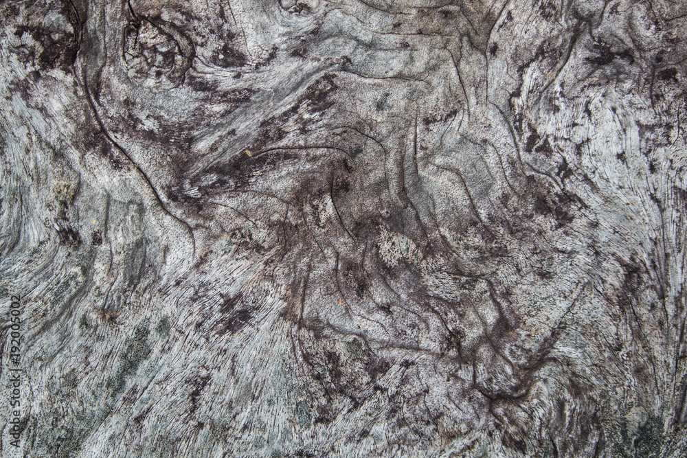 Naklejka premium drewno tekstury tła. powierzchnia starej ciemnej ściany vintage, natura wzór wzoru drzewa. drewniany stół to styl grunge.