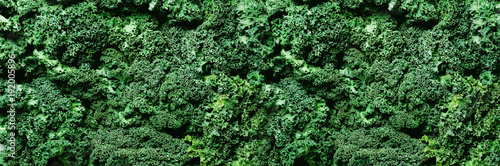 Papier peint Fresh organic green kale background, selective focus, top view, copy space