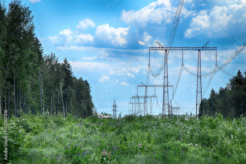 The poles of power lines in the forest zone in summer sunny weather, against the background of green trees and a bright blue sky with clouds.