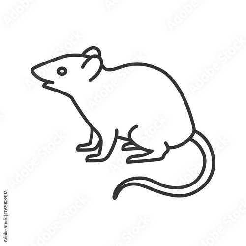 Mouse  rat linear icon