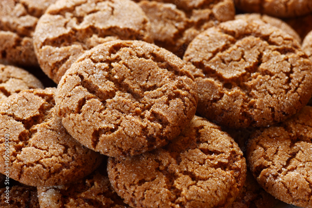 Group of Ginger Snaps Group of Ginger Snaps