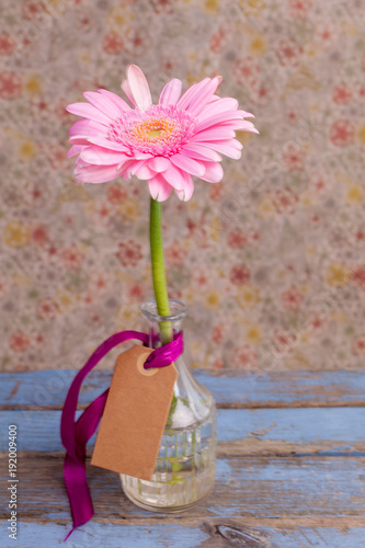 Fotografie rosa blomma i glas vas med tom tag lapp