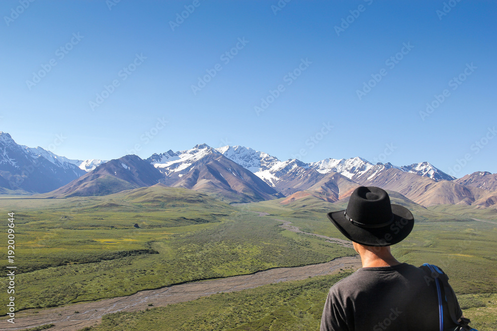 Tourist overlooking the wilderness of Denali National Park