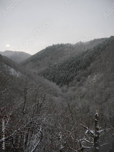 Winterwald
