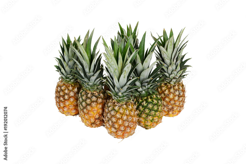 Pineapple on white background Pineapple on white background