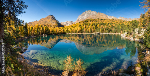 Goldener Herbst am Lago di Saoseo im Val di Campo, Poschiavo, Schweiz photo