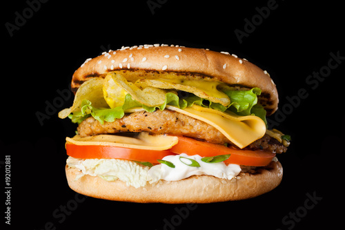 Fototapeta Naklejka Na Ścianę i Meble -  A delicious burger