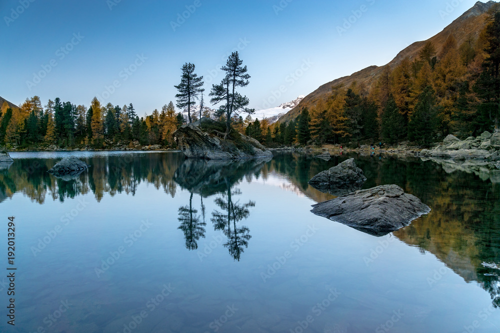 Insel mit zwei Lärchen im Lago di Saoseo, Val da Camp, Puschlav