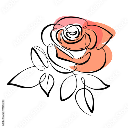 Vector red rose