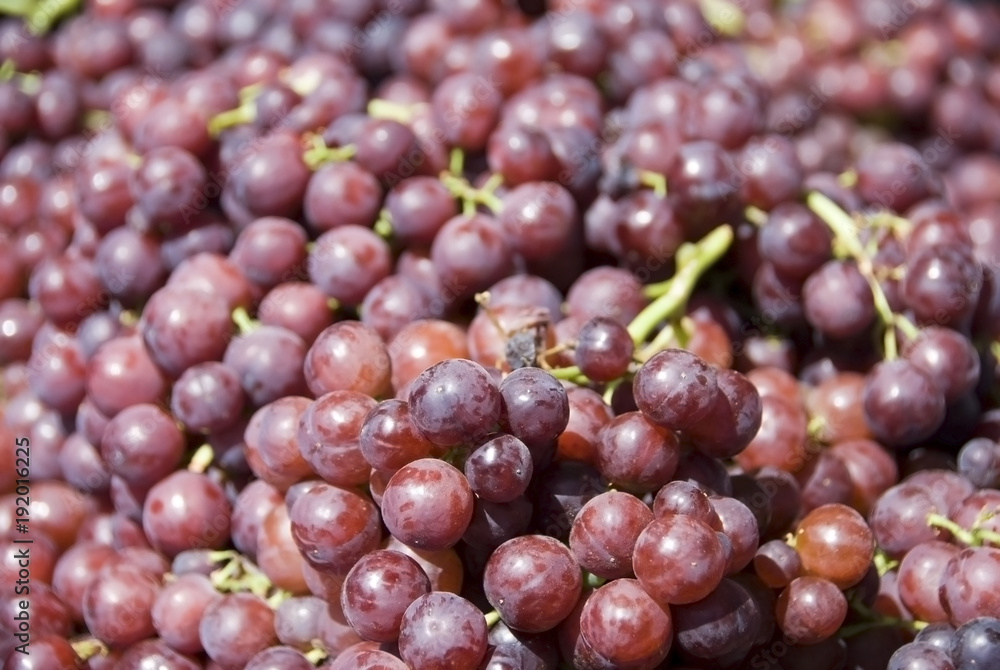 Weintrauben - grapes Weintrauben - grapes