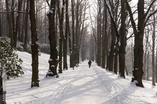 Winter alley © Roman's portfolio