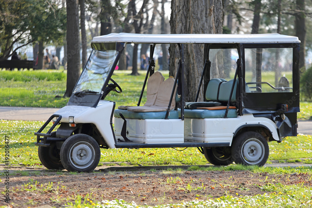 Golf Car in Park