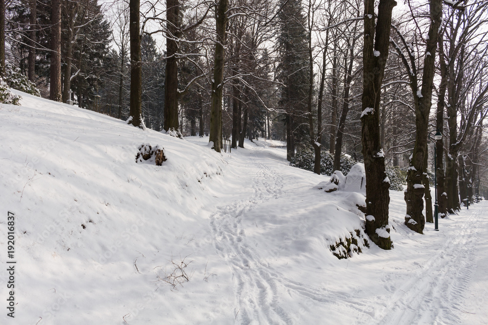 Obraz premium Winter's tale