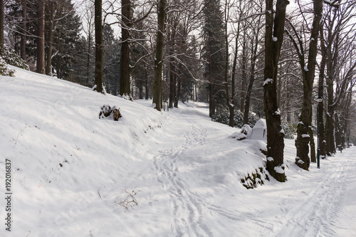 Winter's tale © Roman's portfolio