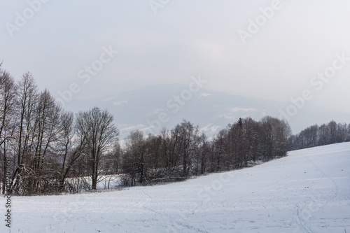 Winter panorama of a park at sunny day © Roman's portfolio