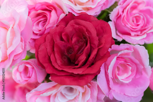 Valentine s Day note with red roses