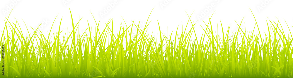 Fototapeta premium Big Meadow Banner Light Green