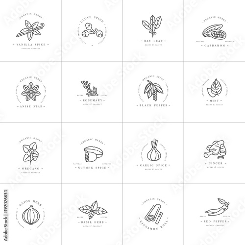 Vector set design templates monochrome logo and emblems - herbs and spices. Different spices icon. Logos in trendy linear style isolated on white background.