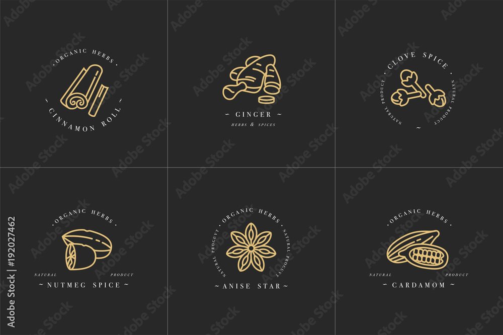 Vector set design golden templates logo and emblems - herbs and spices. Different spices icon for mulled wine. Logos in trendy linear style isolated on white background.