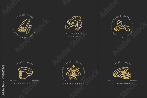 Vector set design golden templates logo and emblems - herbs and spices. Different spices icon for mulled wine. Logos in trendy linear style isolated on white background.
