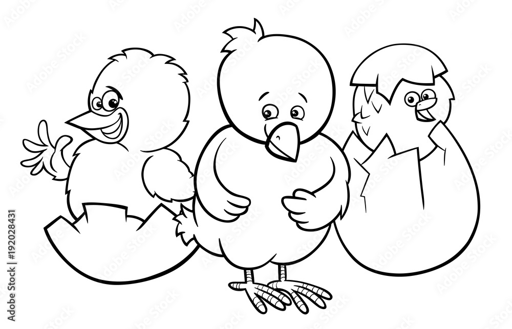 little chickens hatching from eggs color book little chickens hatching from eggs color book