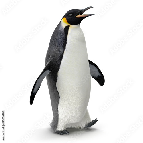 Fotografie, Obraz Emperor penguin. isolated on white. 3D illustration