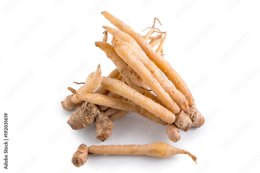 Isolated finger root Isolated finger root