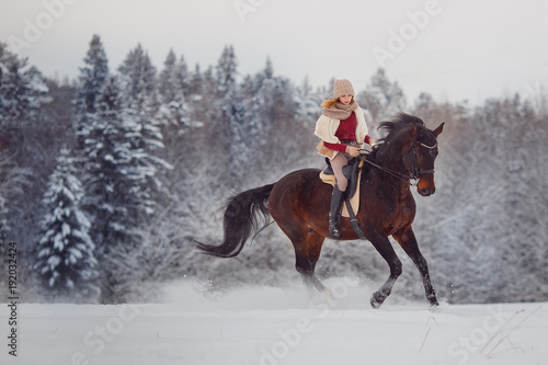 Close-up of horse with gallop rider is riding across field in winter forest. Equestrian sport.