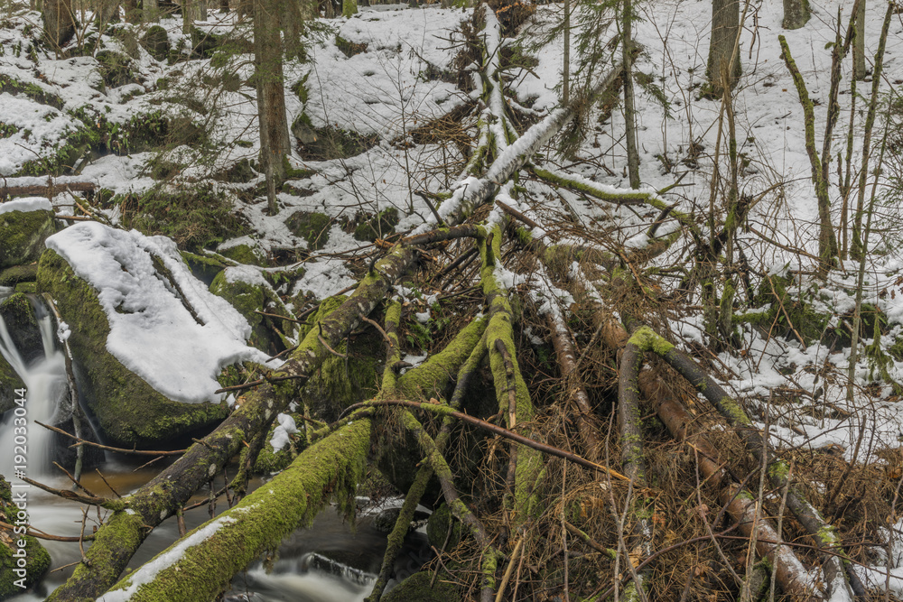 Mensi Vltavice river in snow winter day Mensi Vltavice river in snow winter day