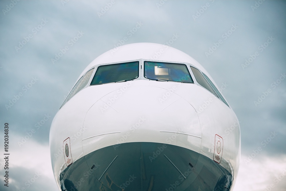 Fototapeta premium Front view of the airplane