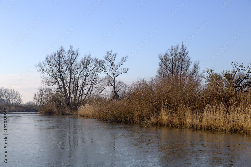 Creek with ice in Biesbosch National Park, Netherlands