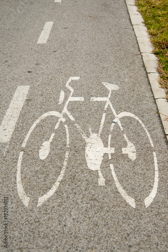 bicycle trail in city