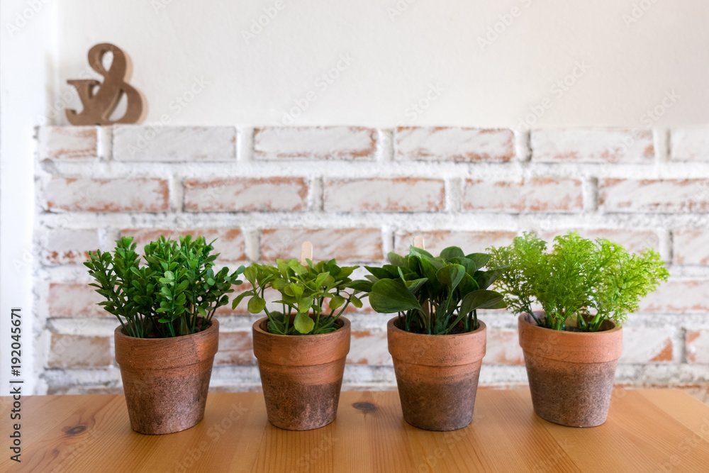 Four artificial plants in clay pot on wooden table with white brick wall textured background in room with copy space. Four artificial plants in clay pot on wooden table with white brick wall textured background in room with copy space.