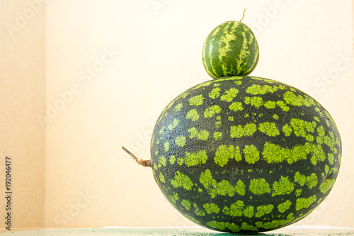 A tiny baby watermelon and big watermelon on back. Growth, food, family concept