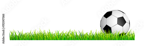 Soccer ball on a green grass lawn