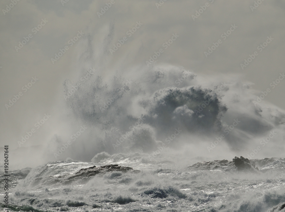 Obraz premium Rough sea and big explosion of water, wave breaking on the rocks, coast of Gran canaria