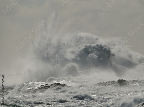 Rough sea and big explosion of water  wave breaking on the rocks  coast of Gran canaria