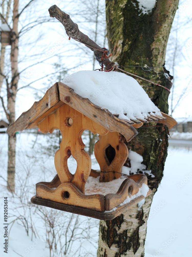 Fototapeta premium bird feeder on the birch
