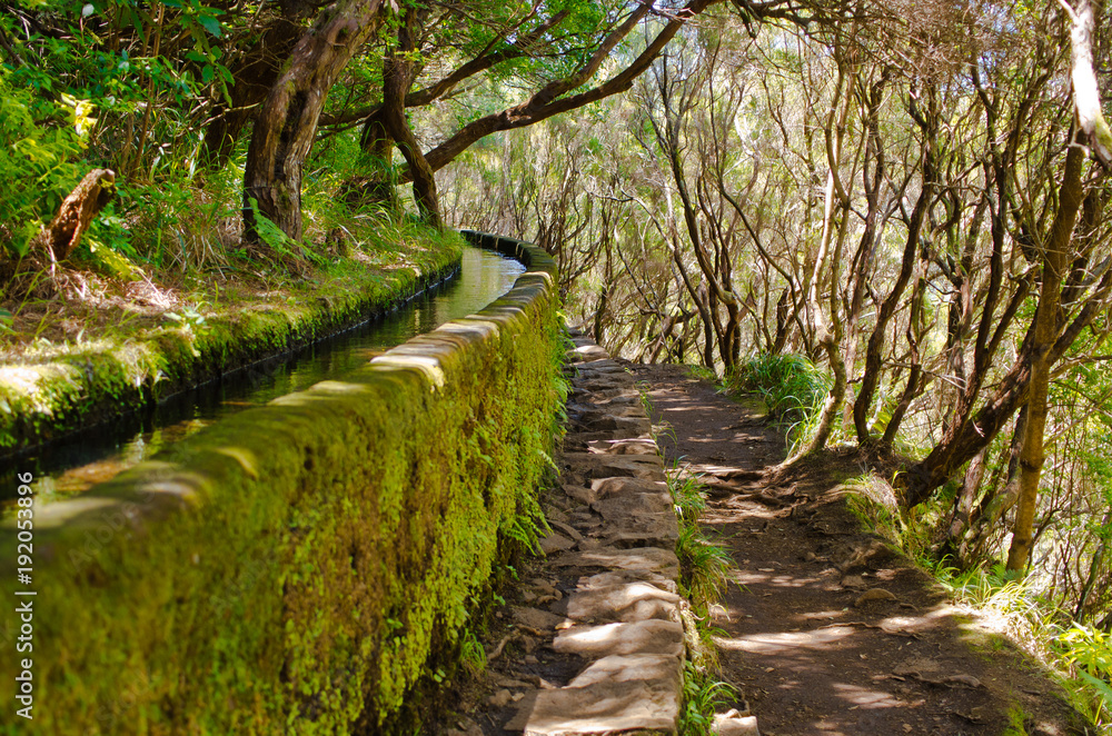 Fototapeta premium 25 Fontes levada on Madeira island, Portugal