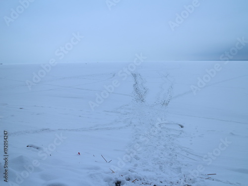 tracks on the ice on a winter day