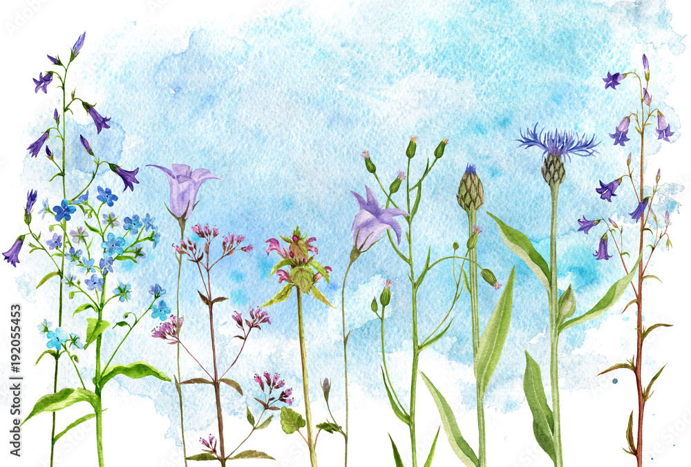 Obraz akwarela rysunek kwiaty i rośliny