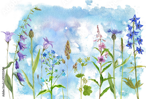 Obraz na płótnie akwarela rysunek kwiaty i rośliny