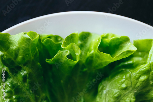 Fresh salad leaf with water drops, macro view on a plate. Green salad leaves backdrop.