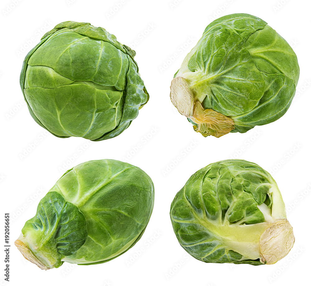 Fototapeta premium Fresh brussels sprout isolated on white background with clipping path