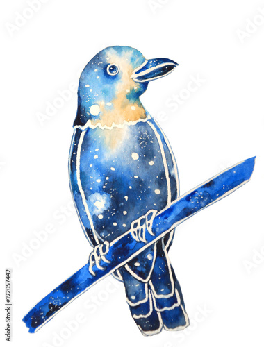 decorative bird with space coloring photo