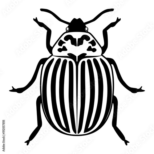 Vector image of the Colorado beetle silhouette on a white background